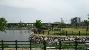 トンボの池公園