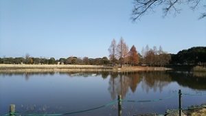佐賀県立森林公園