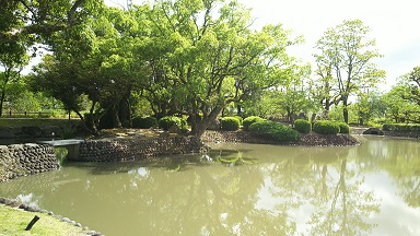 蓮池公園