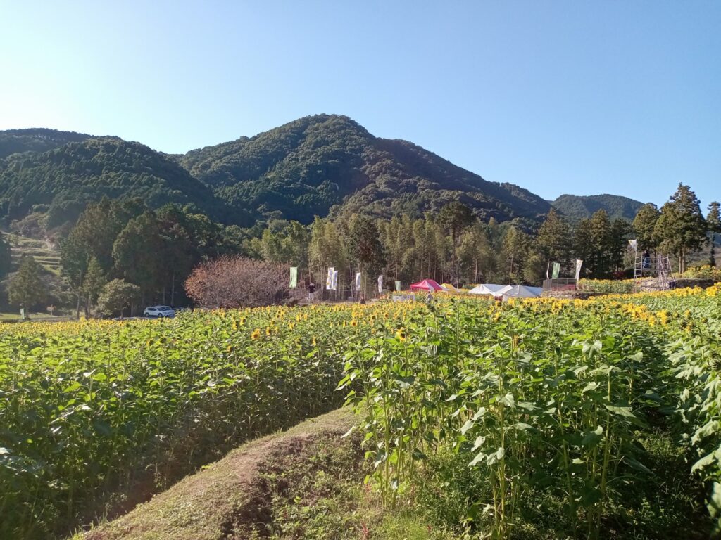 山田ひまわり園